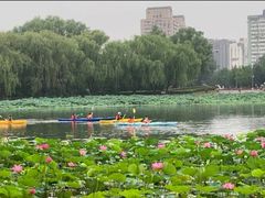 -WhaleSports户外水上运动俱乐部(朝阳公园店)