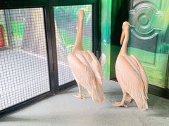 -海合安武汉极地海洋公园