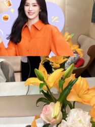 -金夫人美容