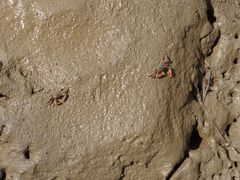 -东寨港红树林旅游区