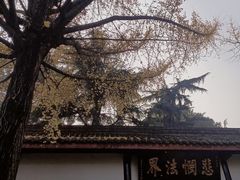 -成都市文殊院