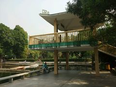 -晓港公园