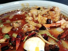 -红辣椒·川菜·火锅(张杨路店)