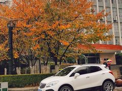 -湖北中医药大学(昙华林校区)