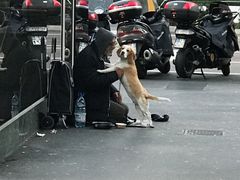 -文艺复兴百货(米兰大教堂广场店)