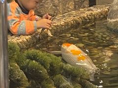 -丰圆轩粤式茶楼 . 点心粤菜(夏茅店)