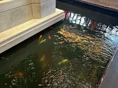 -龙悦湾酒家·八阵鱼生·渔人码头店