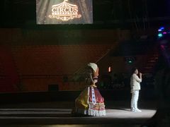 -俄罗斯国家大马戏团