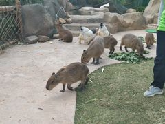 -长兴太湖图影湿地文化园