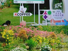 -深圳仙湖植物园