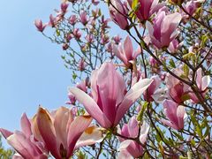 -北京西山国家森林公园