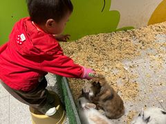 -北京华联合肥长江西路购物中心