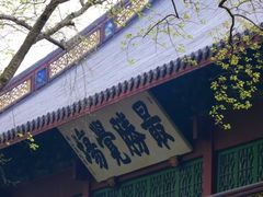 -灵隐飞来峰景区