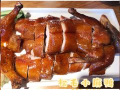 -滇铺子·云南特色菜·第九届野生菌美食节(东风东路c86店)