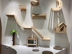 -COLOR PETS 撸猫馆·购猫·猫咖(长风大悦城店)