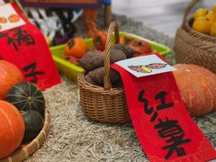 -小风车金桥丽都幼儿园(金桥店)