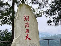 -铁山坪森林公园