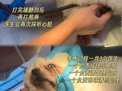 -佳佳动物医院