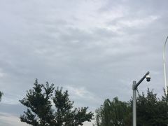 -bluefrog蓝蛙(水游城店)