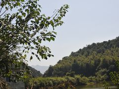 -金鸡山公园