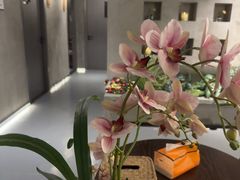 -施奈儿.洗头頭療.按摩SPA.采耳(上梅林店)
