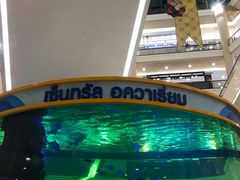 -尚泰清迈机场购物中心