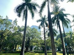 -南宁南湖公园