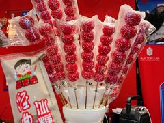 山楂糖葫芦-乐宴·老北京铜火锅(桂庙店)