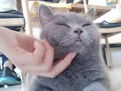 -平行世界·猫咖(首经贸店)