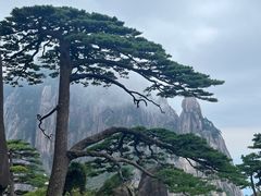 -黄山风景区