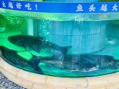 -年辉渔村·非遗传承餐厅(新丰江店)