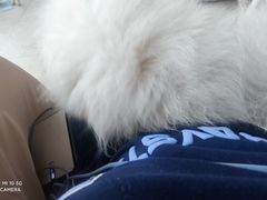 -怪兽屋·羊驼·猫咖·狗咖(俊华广场店)