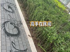 -迎泽公园