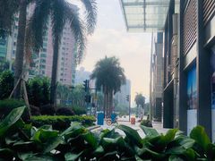 -星巴克臻选(深圳东海缤纷天地店)