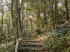 -杭州半山国家森林公园