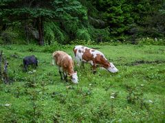 -硗碛藏寨·神木垒景区