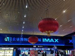 -农垦博纳国际影城(津奥广场IMAX店)