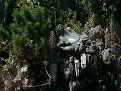 -八景休閒山莊  廣東十大名山莊