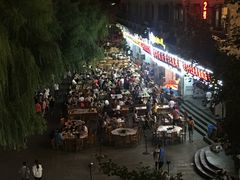-彭秉兰豆花烤鱼(文化园店)