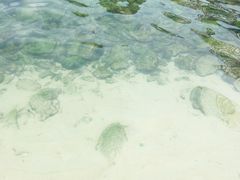 -蜈支洲岛珊瑚酒店临海阁中餐厅