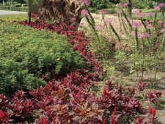 -长春公园(普阳街道)