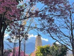 -崇圣寺三塔文化旅游区