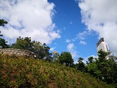 -九龙公园