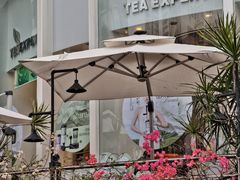 -萃茶师(琅西店)