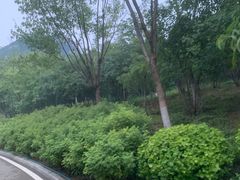 -佛慧山