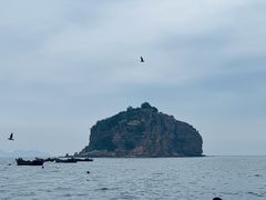 -棒棰岛宾馆景区