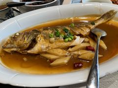 深海大黄鱼烧年糕-钱塘花园·宁波菜