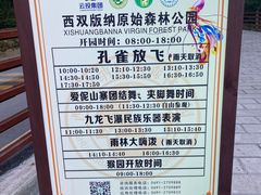 -西双版纳原始森林公园