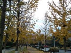 -浙江农林大学(东湖校区)