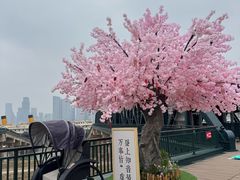 -武汉知音号